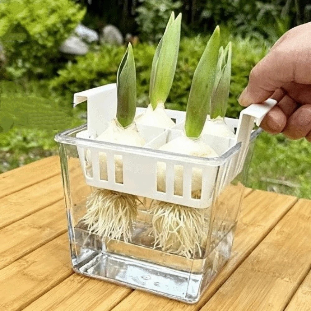 4 Grids Hydroponics Nursery Po - огляд і ціна Hydroponic Grow Pod
