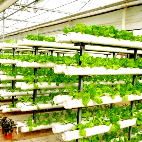 Outdoor Hydroponic Tower Grow  - огляд і ціна Hydroponic Tower
