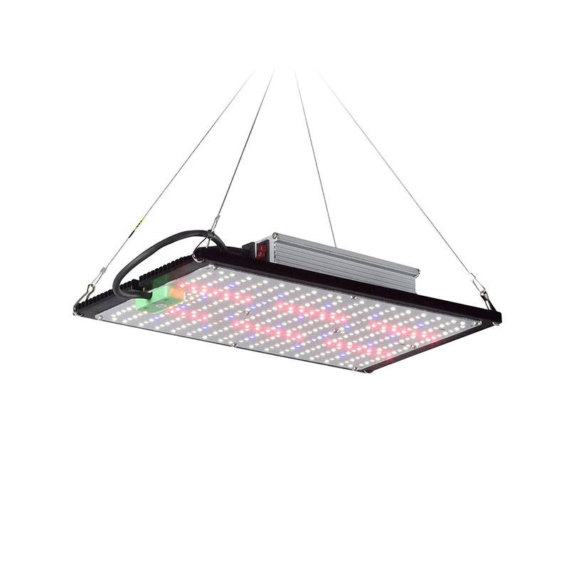 LED Quantum‑Board Grow Light F - огляд і ціна Plant Grow Light Full Spectrum