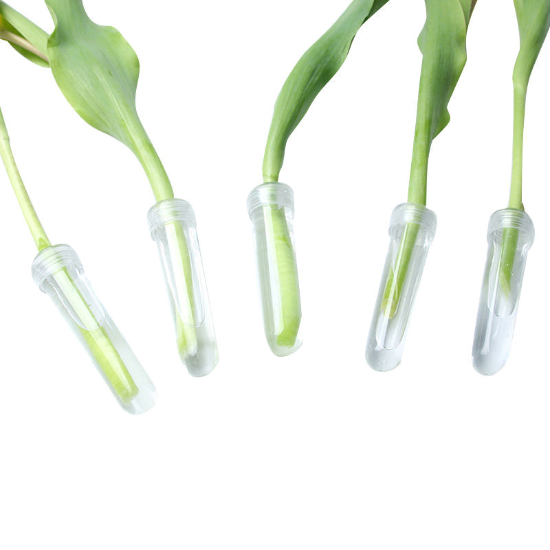 20Pcs Plastic Fresh Flower Nut - огляд і ціна Hydroponic Grow Pod