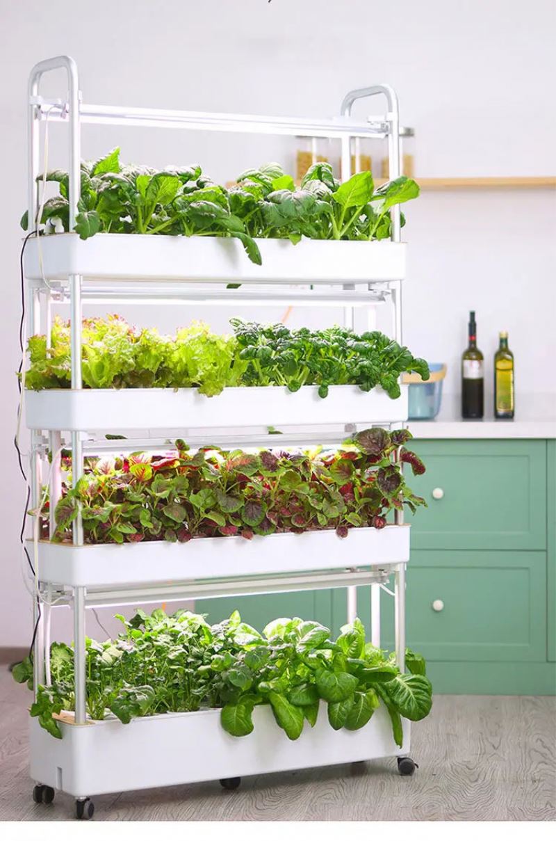 Home Use Vertical Hydroponic T - огляд і ціна Hydroponic Tower