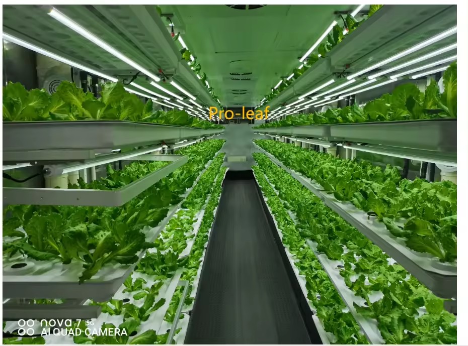 f Greenhouse Agricultural Equi - огляд і ціна Hydroponic Tower