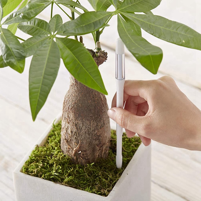 Aquameter, 5pcs, Plant Soil Mo - огляд і ціна Plant Sensor