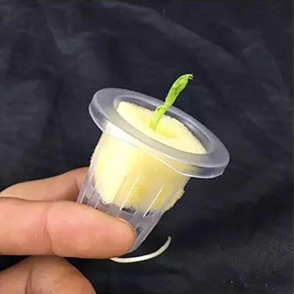 10Pcs Hydroponic Mesh Cups Gar - огляд і ціна Hydroponic Grow Pod