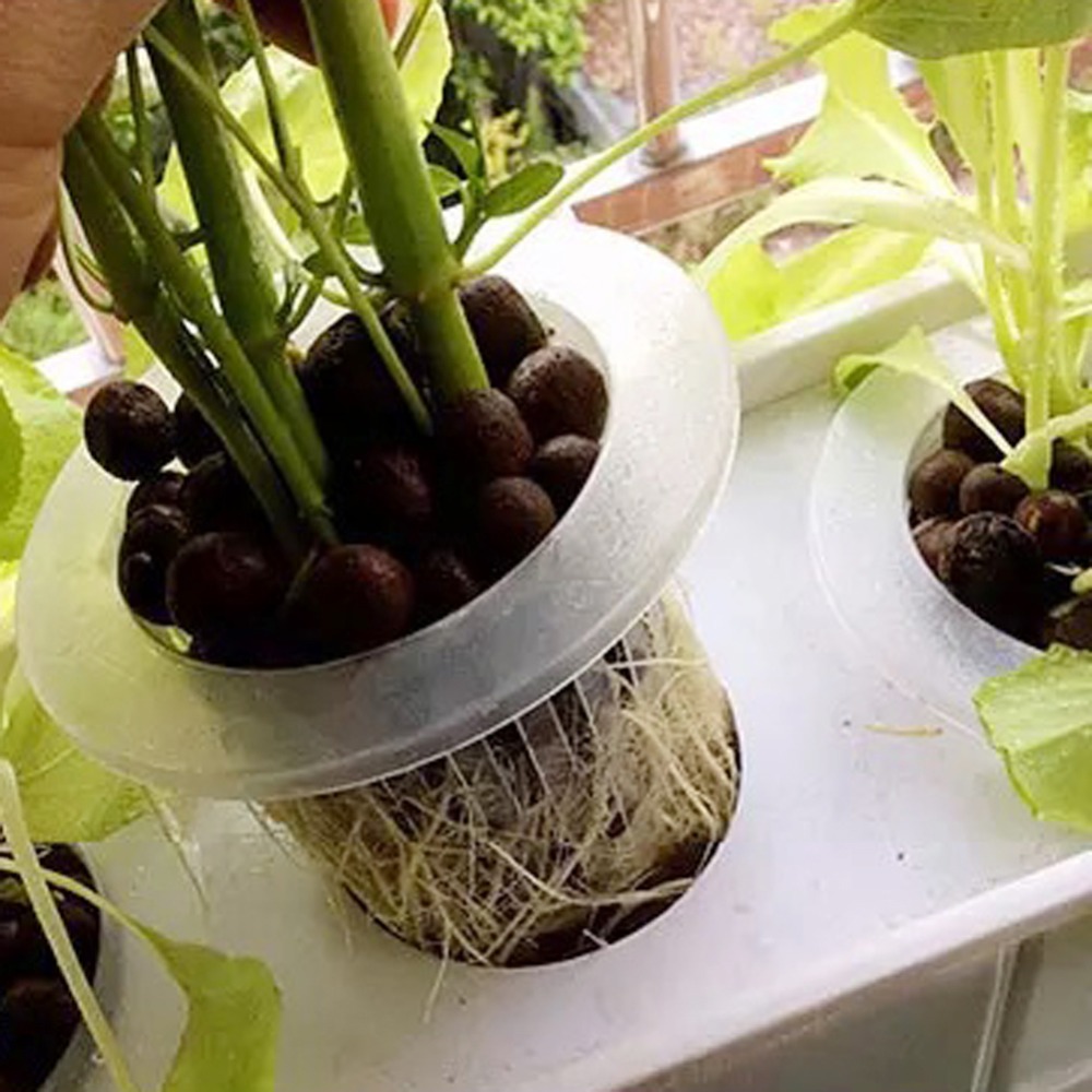 10Pcs Hydroponic Mesh Cups Gar - огляд і ціна Hydroponic Grow Pod