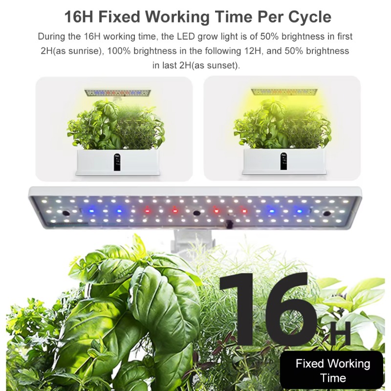 9 Pods Smart Hydroponics Growi - огляд і ціна Smart Garden System