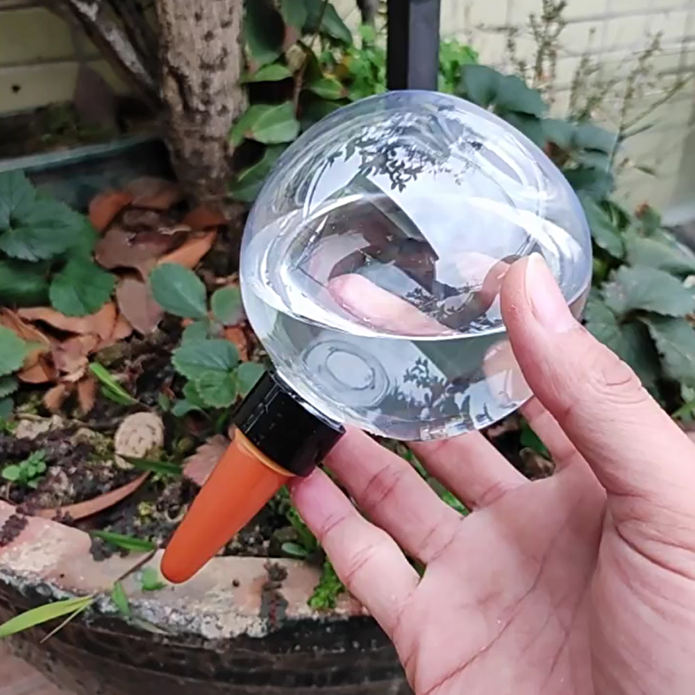 500ML Self Watering Globes Dri - огляд і ціна Self Watering Planter