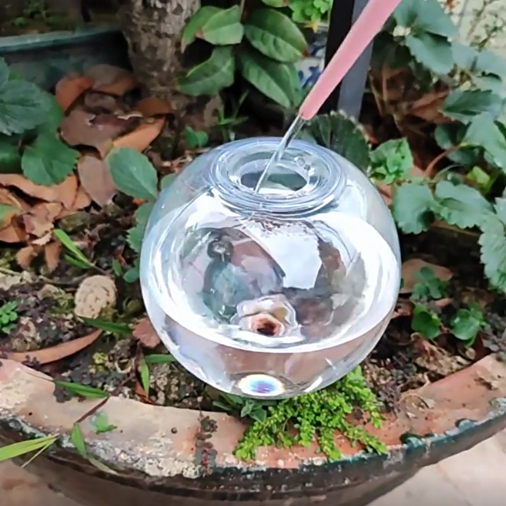 500ML Self Watering Globes Dri - огляд і ціна Self Watering Planter