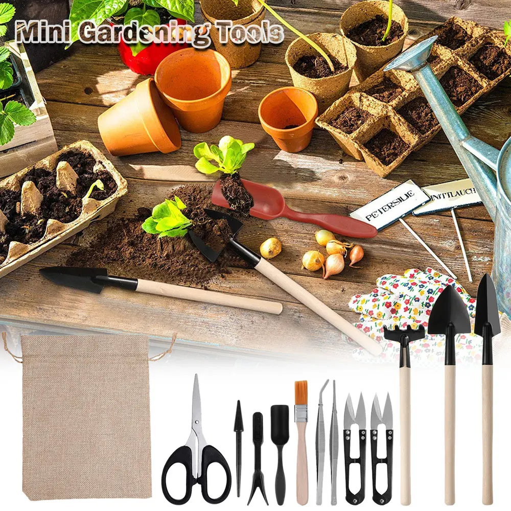 13PCS Succulent Plants Tool Se - огляд і ціна Indoor Garden Kit