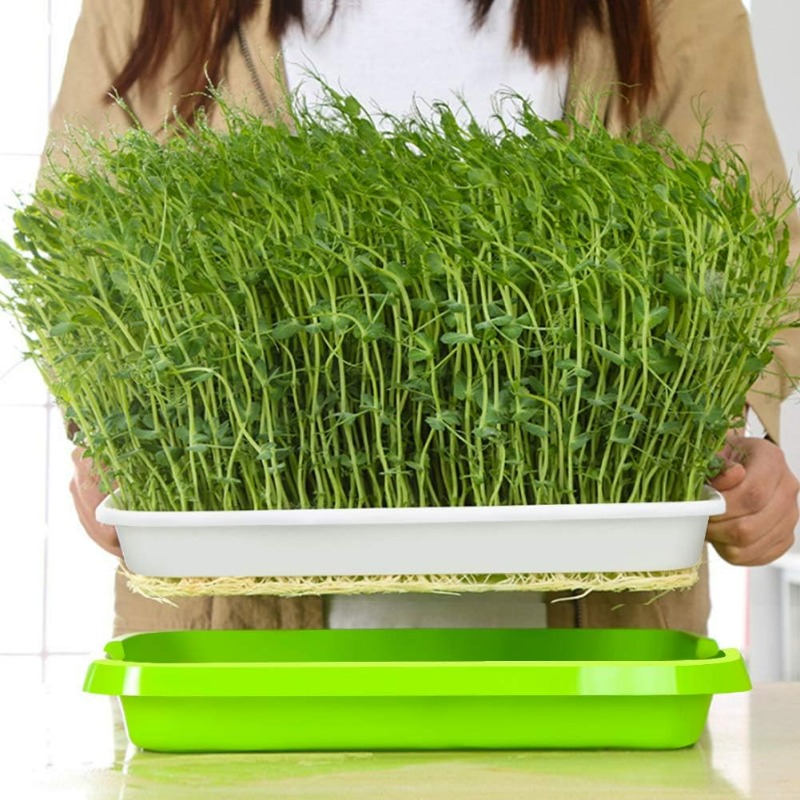 Microgreens Sprout Tray Germin - огляд і ціна Hydroponic Grow Pod