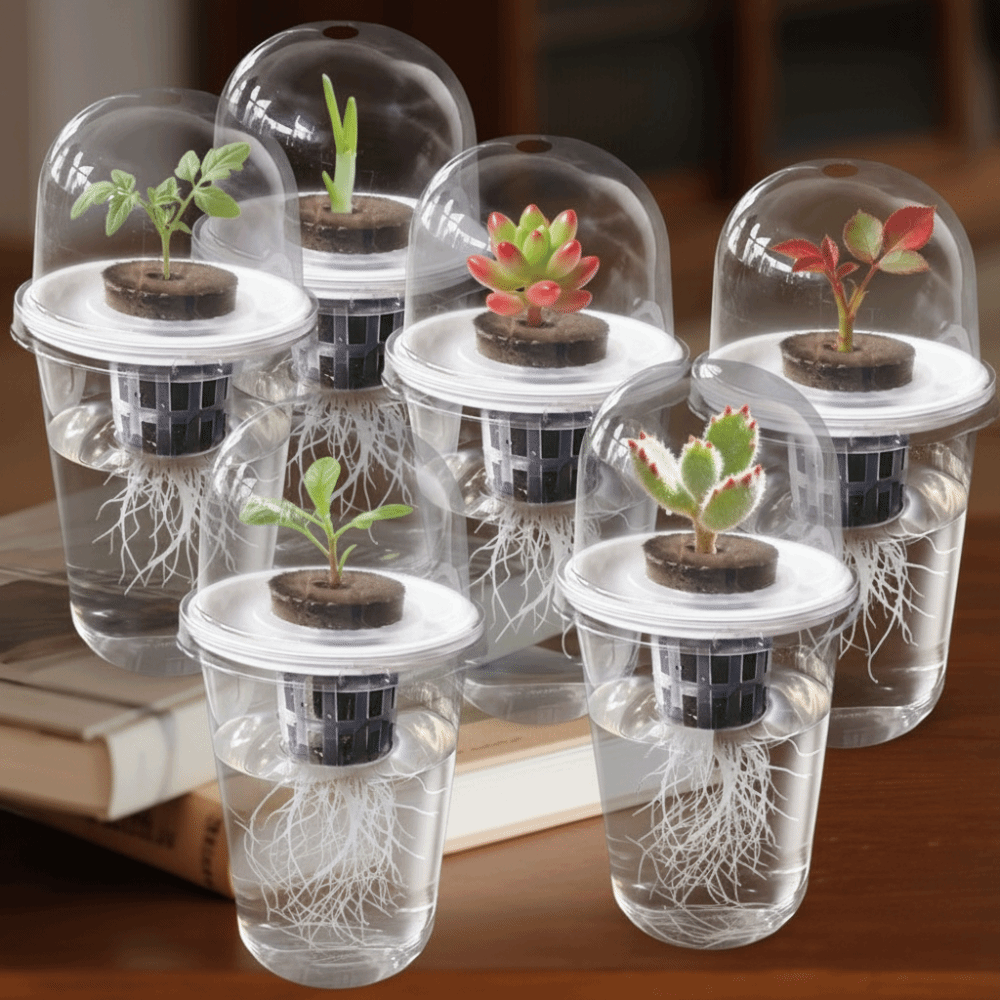 1-5pc Visible Clear Plants Ger - огляд і ціна Hydroponic Grow Pod