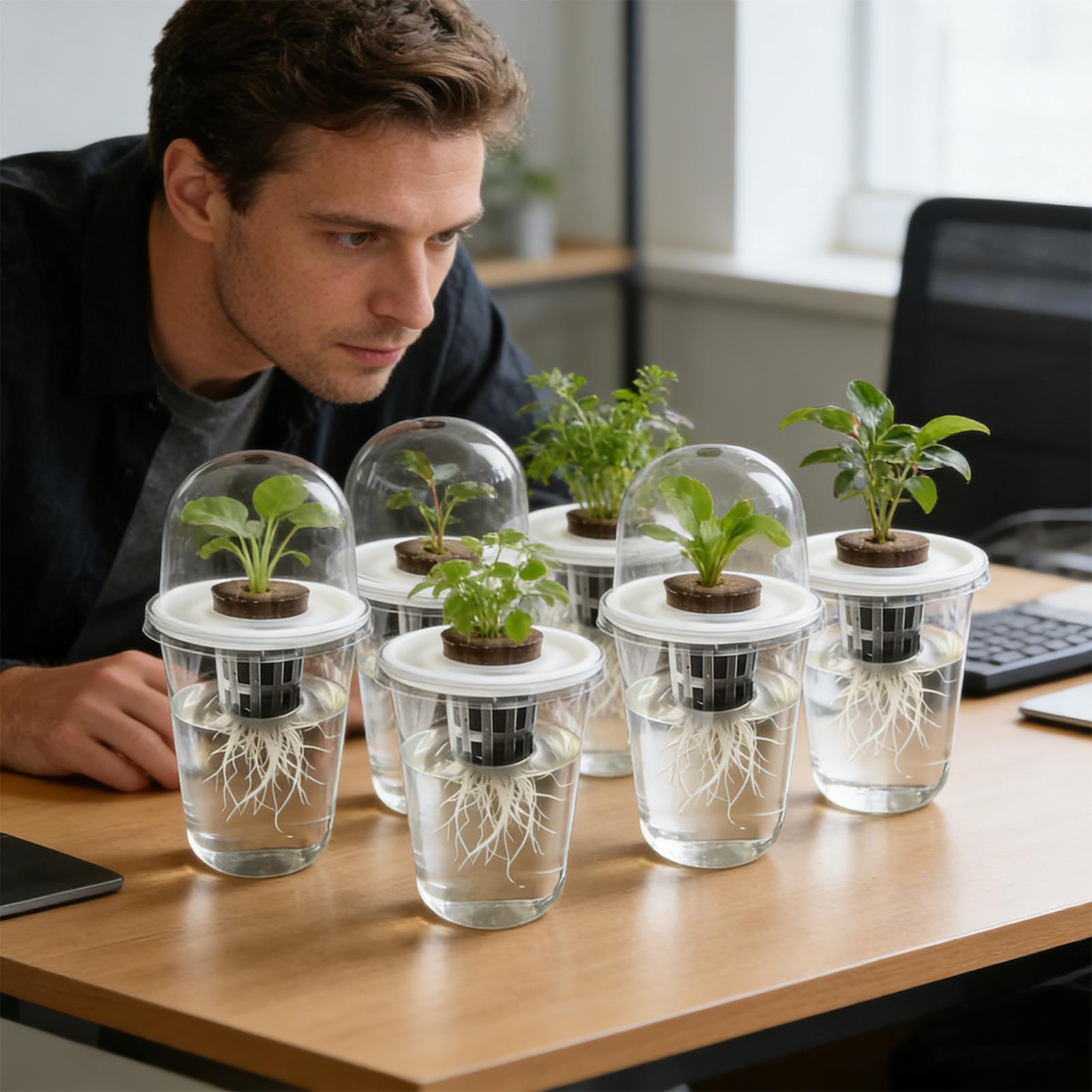 1-5pc Visible Clear Plants Ger - огляд і ціна Hydroponic Grow Pod