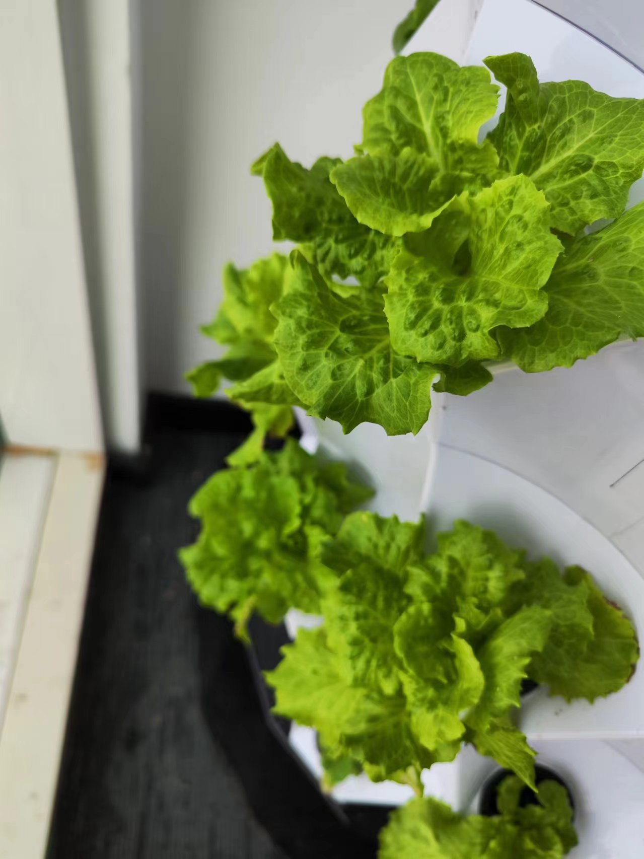 Farm Auto Irrigation Drip Kit  - огляд і ціна Hydroponic Tower