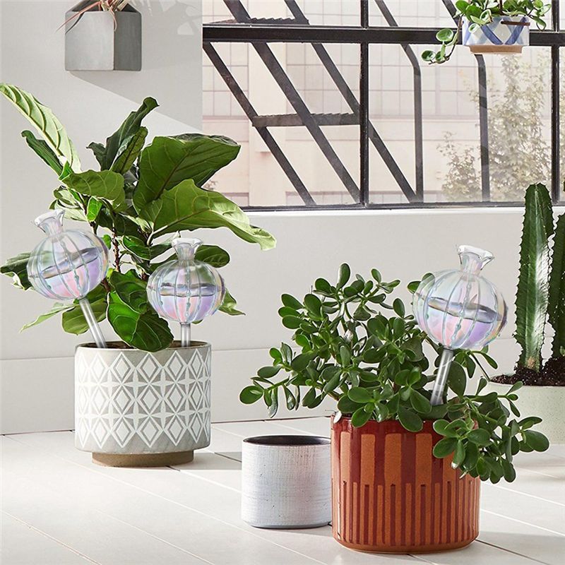 AA94-Plant Watering Bulbs Plan - огляд і ціна Self Watering Planter